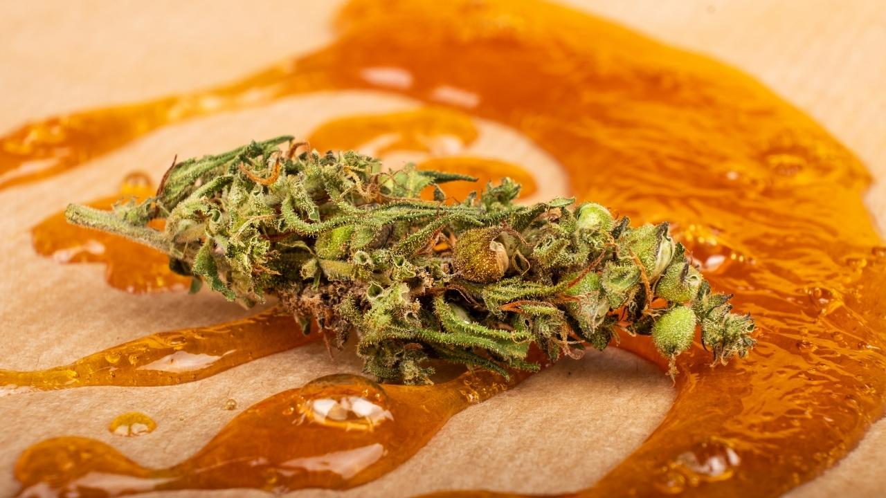 Best Cannabis Wax Concentrates to Consume